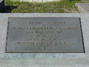Full-size image