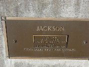 Full-size image