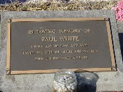 Full-size image