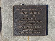 Full-size image