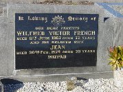 Full-size image