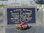 Full-size image