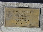 Full-size image