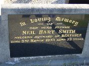 Full-size image