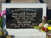 Full-size image