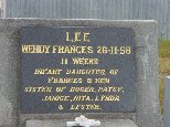 Full-size image