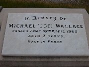 Full-size image