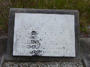 Full-size image