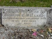 Full-size image