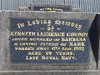 Full-size image