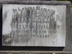 Full-size image