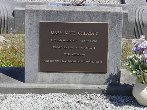 Full-size image