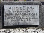 Full-size image