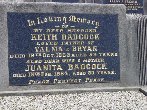 Full-size image