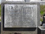 Full-size image