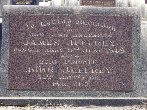 Full-size image
