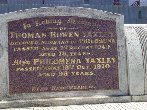 Full-size image