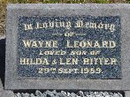 Full-size image