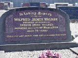 Full-size image