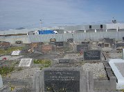 Full-size image