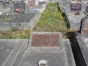 Full-size image