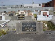Full-size image