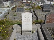 Full-size image