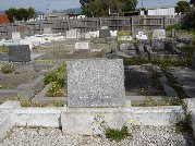 Full-size image