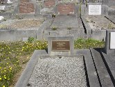 Full-size image