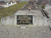 Full-size image