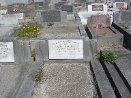 Full-size image