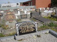 Full-size image