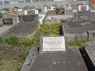 Full-size image