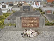 Full-size image