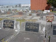 Full-size image