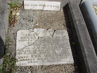 Full-size image