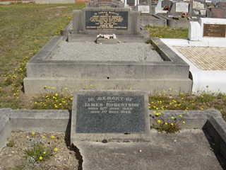 Full-size image