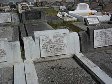 Full-size image