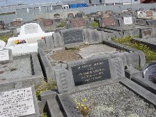Full-size image