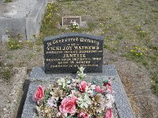 Full-size image