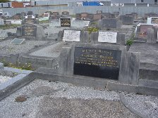 Full-size image