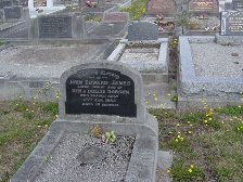 Full-size image