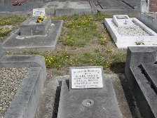 Full-size image