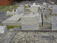 Full-size image