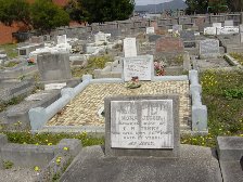 Full-size image