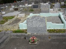 Full-size image