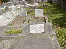 Full-size image