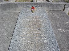 Full-size image