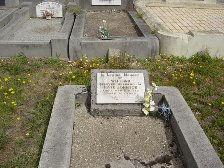 Full-size image