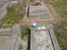 Full-size image
